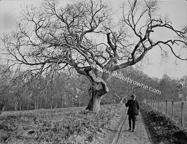 MAN WALKING ON BACK AVENUE